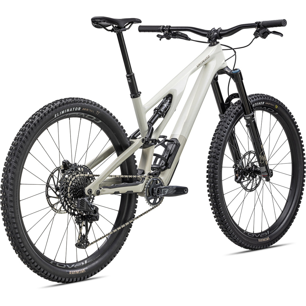 Stumpjumper EVO Expert