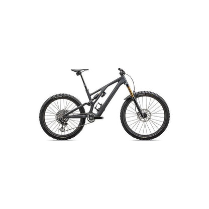 S-Works Stumpjumper EVO T-Type
