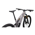 Stumpjumper EVO Pro T-Type