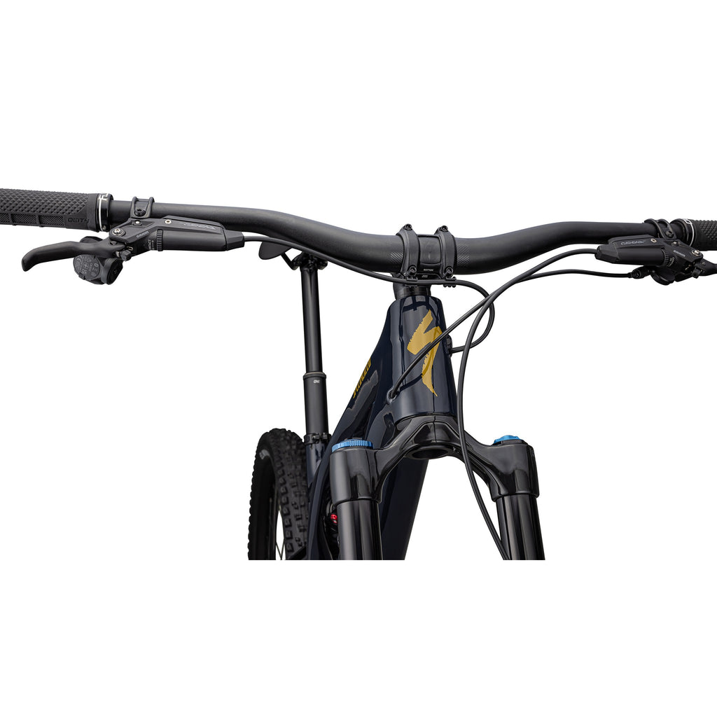 Stumpjumper EVO Expert T-Type