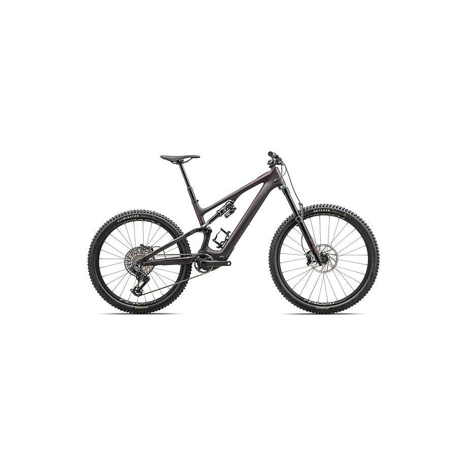 Turbo Levo SL 2 Expert Carbon