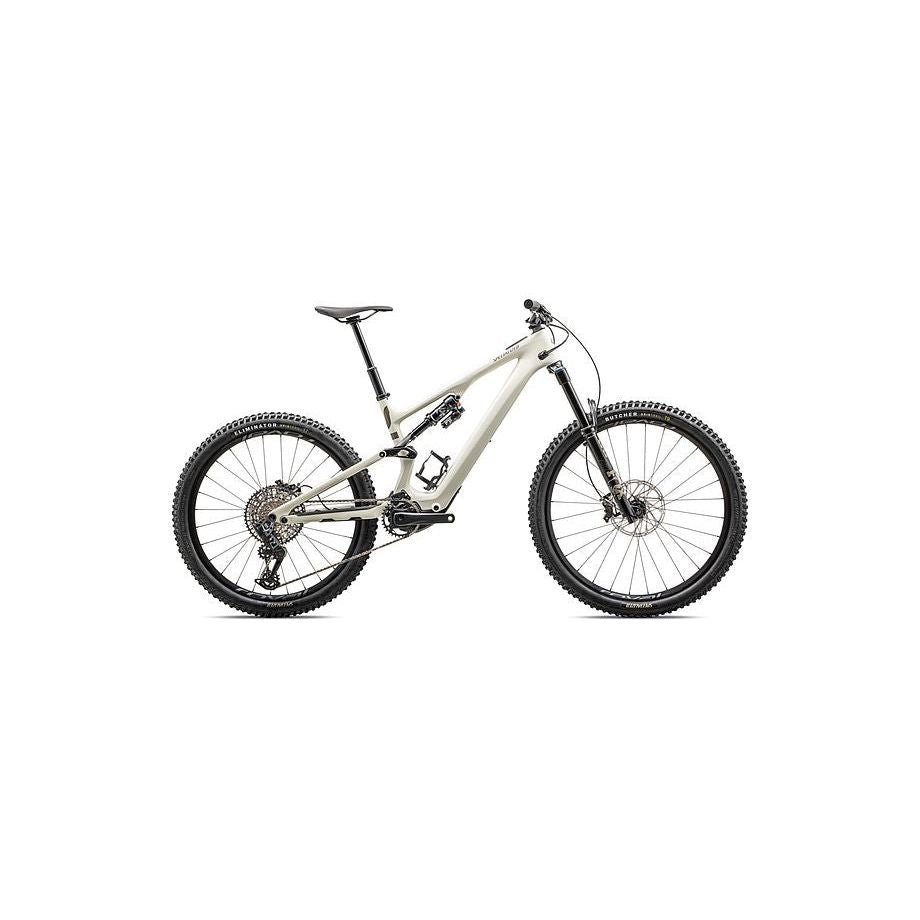 Turbo Levo SL 2 Expert Carbon
