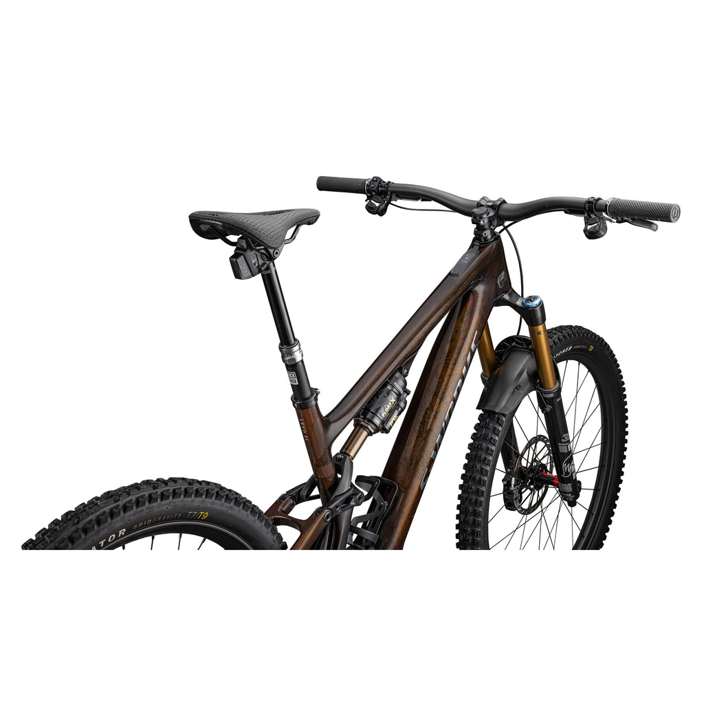 S-Works Turbo Levo SL 2