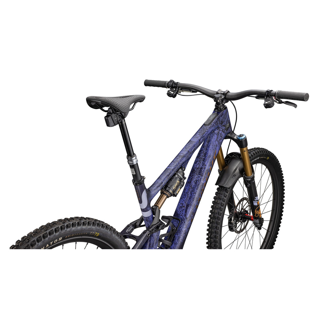 S-Works Turbo Levo SL 2