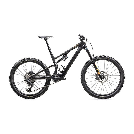Turbo Levo SL 2 Expert
