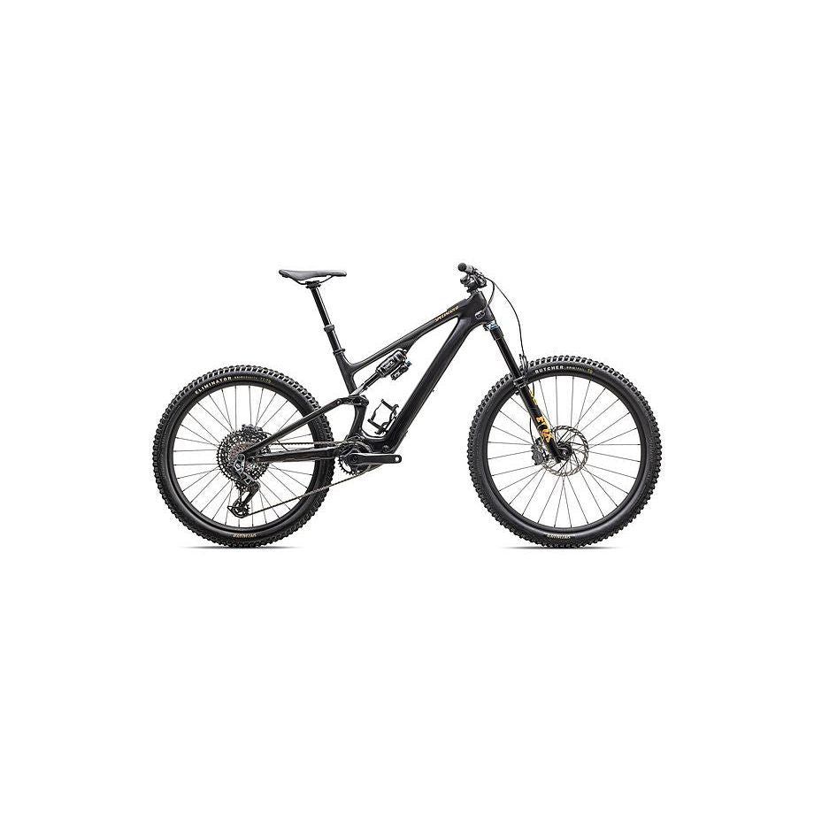 Turbo Levo SL 2 Expert