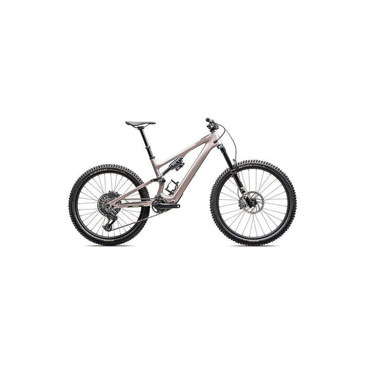 Turbo Levo SL 2 Expert