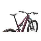 Turbo Levo SL 2 Expert Di2