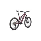 Turbo Levo SL 2 Expert Di2