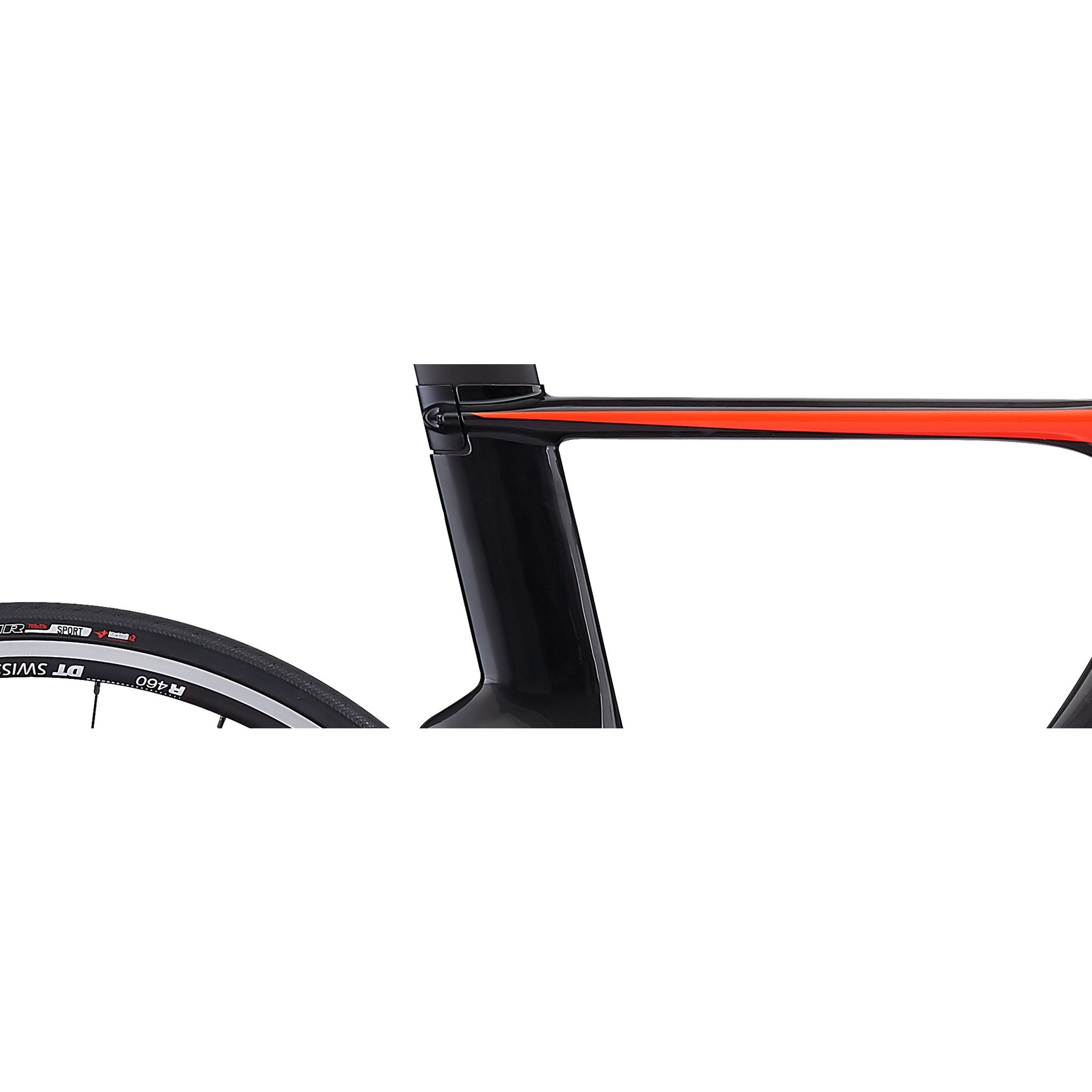 Shiv Sport