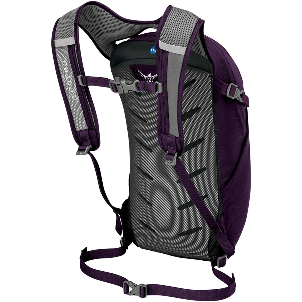 Daylite Backpack