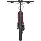 Ogre Bike - Fermented Plum - 29" - Steel
