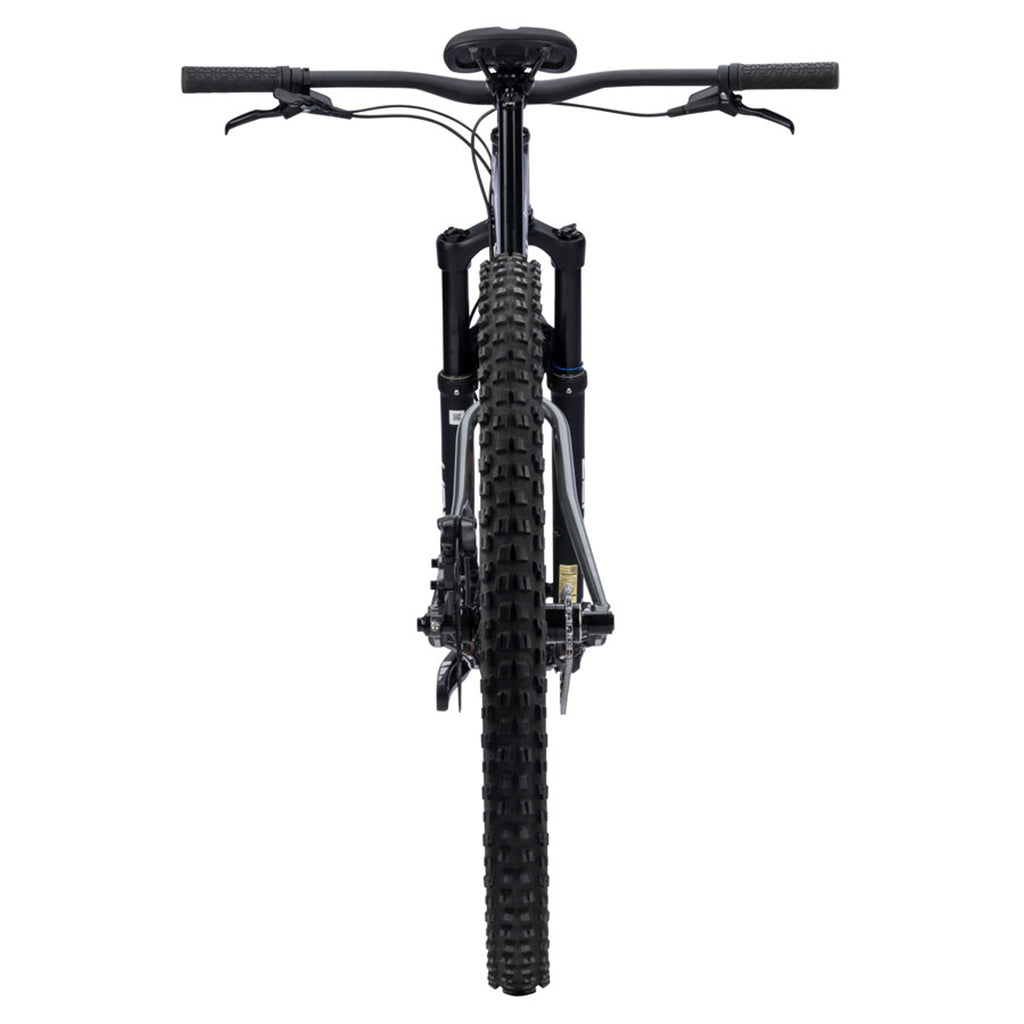 Sorceress Single Speed Bike - Swamp Water Taffy - Steel