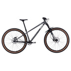 Sorceress Single Speed Bike - Swamp Water Taffy - Steel