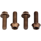 Bottle Cage Bolts