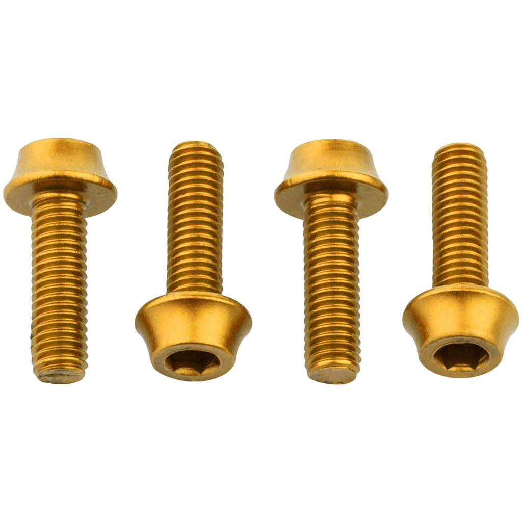 Bottle Cage Bolts