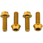 Bottle Cage Bolts