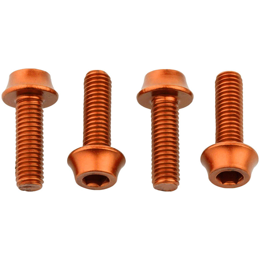 Bottle Cage Bolts