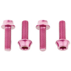 Bottle Cage Bolts