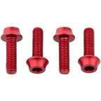 Bottle Cage Bolts