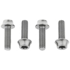 Bottle Cage Bolts