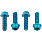 Bottle Cage Bolts