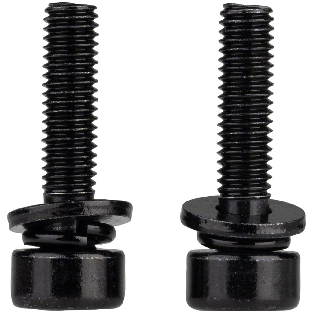 Caliper Mounting Bolts