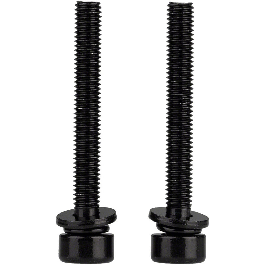 Caliper Mounting Bolts