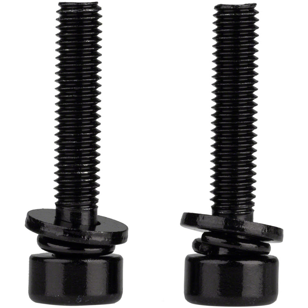 Caliper Mounting Bolts
