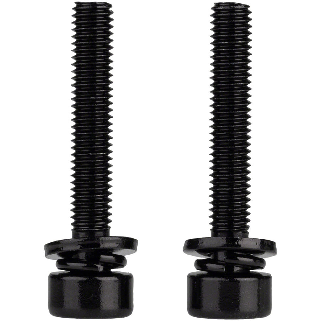 Caliper Mounting Bolts