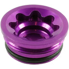 Disc Brake Caliper Bore Caps And Bore Cap O-Rings