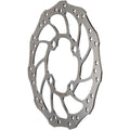 Storm Rohloff Disc Rotor - 4-Bolt - Silver