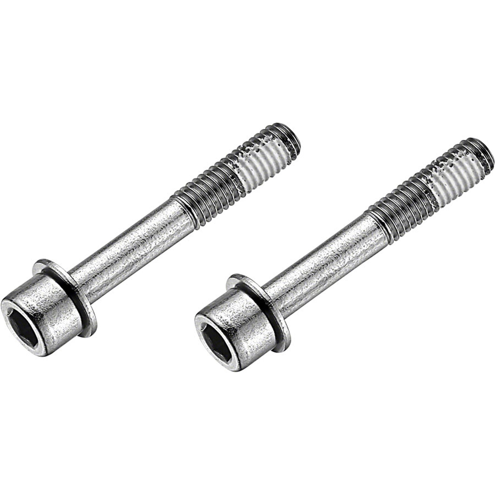 Stainless Flat Mount Disc Brake Caliper Bolts