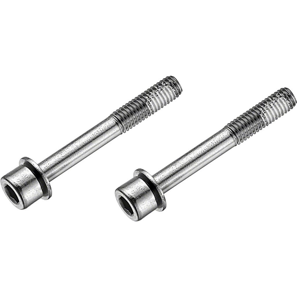 Stainless Flat Mount Disc Brake Caliper Bolts