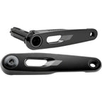 Rival Crank Arm Assembly E1