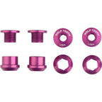 1x Chainring Bolt Sets - 1x Chainring Bolt Set