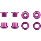 1x Chainring Bolt Sets - 1x Chainring Bolt Set