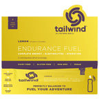 Endurance Fuel - Tailwind Endurance Fuel Grape