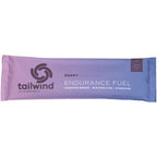 Endurance Fuel - Tailwind Endurance Fuel Grape