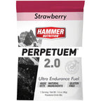 Perpetuem