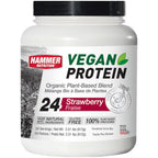 Vegan Protein