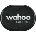 Cadence and Speed Sensor