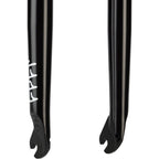Sect IC Fork