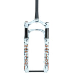 Mastodon Pro Suspension Fork