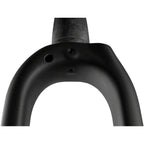 Adventure Fork - 1.5” Tapered, Flat-Mount Disc, Carbon, 12 x 100mm Axle,  49/55 Rake, Black