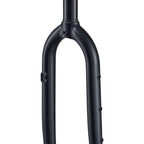 WCS Steel Adventure Fork - 27.5/29", 15 x 110mm, 1-1/8" Straight, Post Mount, Black