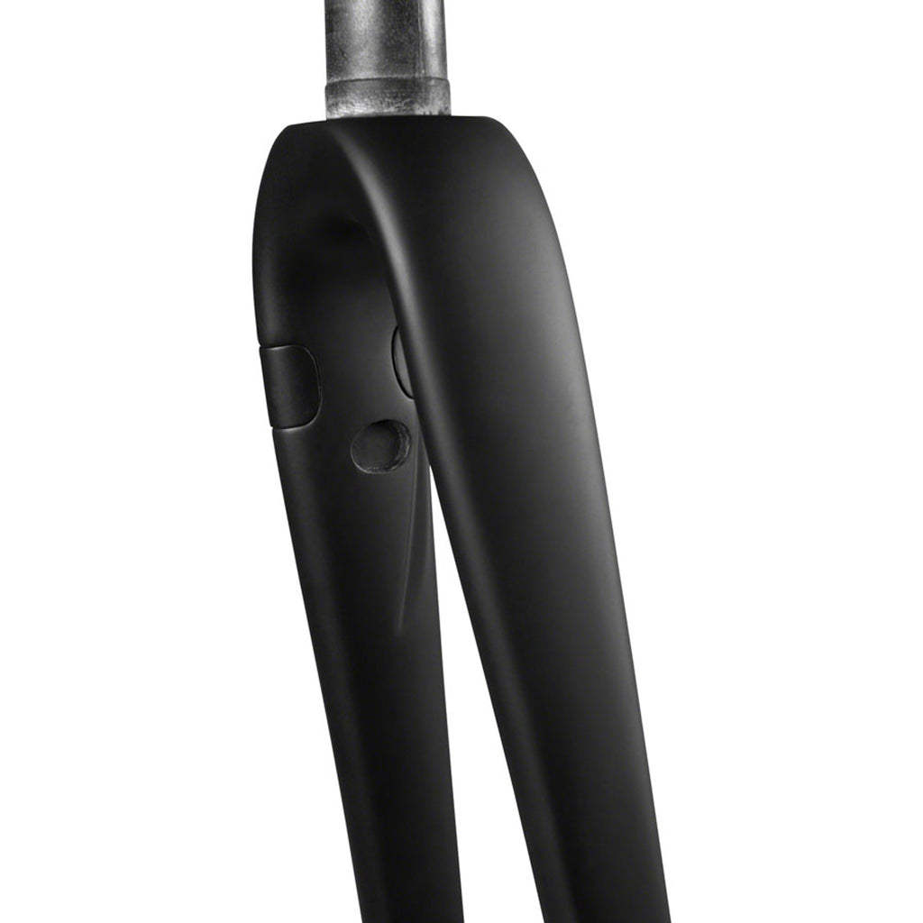 AR Disc Fork - 12 x 100mm Axle, 1-1/4" Tapered Steerer, Flat-Mount Disc, Carbon, Black