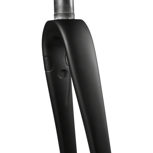 AR Disc Fork - 12 x 100mm Axle, 1-1/4" Tapered Steerer, Flat-Mount Disc, Carbon, Black
