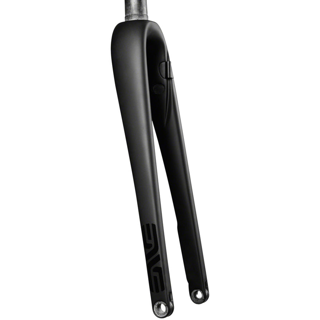AR Disc Fork - 12 x 100mm Axle, 1-1/4" Tapered Steerer, Flat-Mount Disc, Carbon, Black