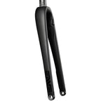 AR Disc Fork - 12 x 100mm Axle, 1-1/4" Tapered Steerer, Flat-Mount Disc, Carbon, Black